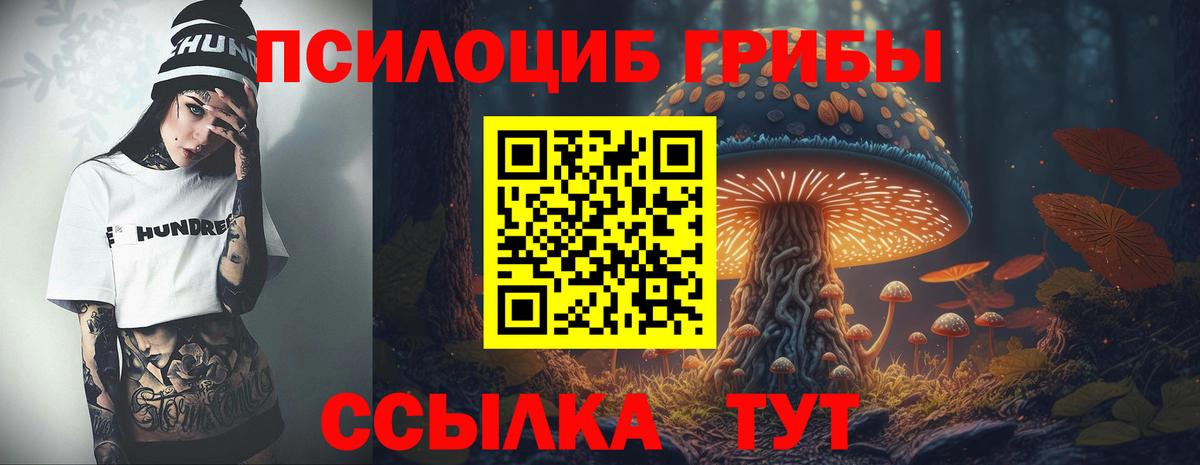 Псилоцибиновые грибы GOLDEN TEACHER Топки